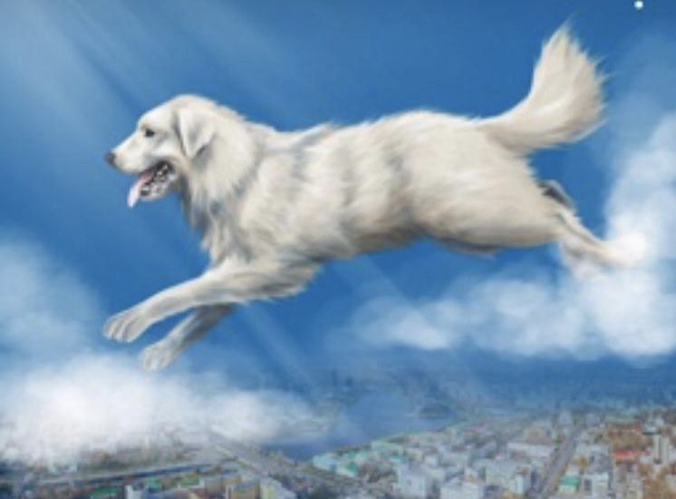 Большая белая собака 