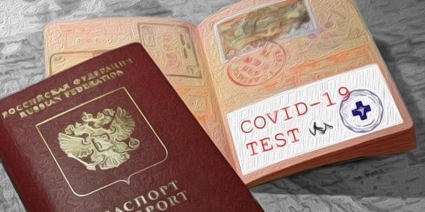 В России озвучивают идеи создания вкладышей к паспортам, в которых содержались бы данные о прививках гражданина.