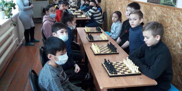7 февраля 2021 года в поселке Володарский на базе детско-юношеской школы прошел районный турнир по игре в шахматы «Белая ладья»