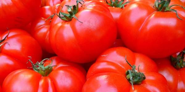 К Новому году астраханцев обеспечат свежим помидорами, а в Икрянинском районе появятся 250 рабочих мест