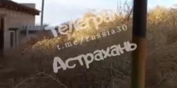 В Астраханской области дом местного жителя захватило перекати-поле