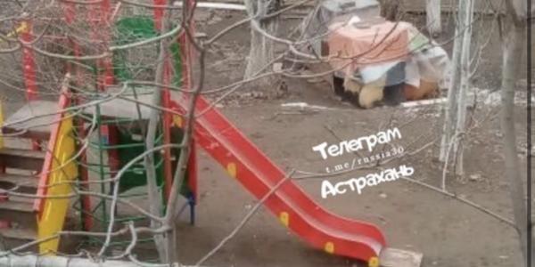 Астраханцы строят жилища для бездомных собак на детских площадках