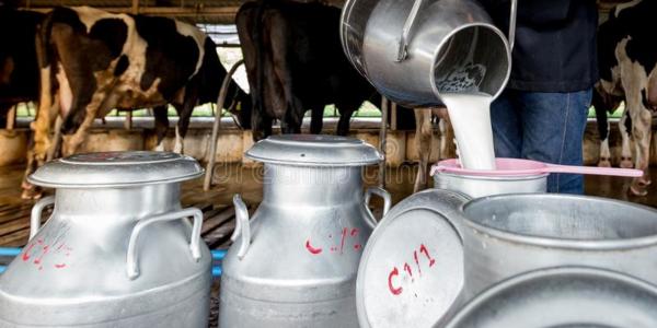 Кто следующий: россиян предупреждают о возможных сбоях в поставках молока и сока