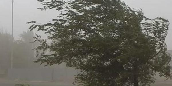 Астраханцев предупреждают о пыльной буре и усилении ветра в городе