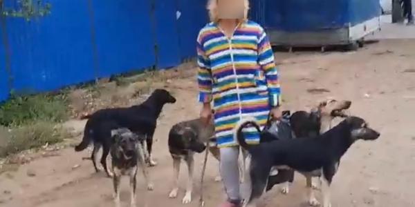 В Астрахани владелица домашней собаки вступила в перепалку с опекающей бродячих животных женщиной