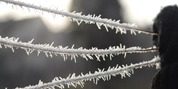 В Астраханской области 27 декабря ожидаются гололедно-изморозевые явления и -13