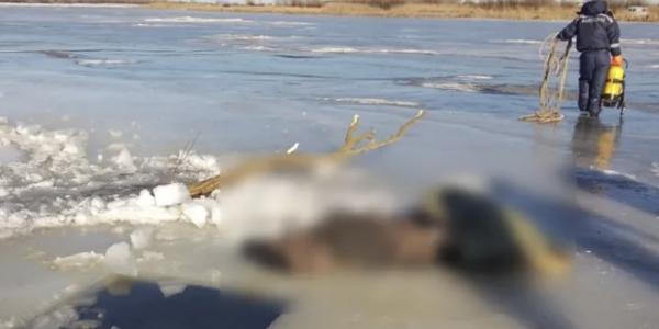 Под Астраханью спасатели извлекли труп 60-летнего рыбака из реки Старая Волга