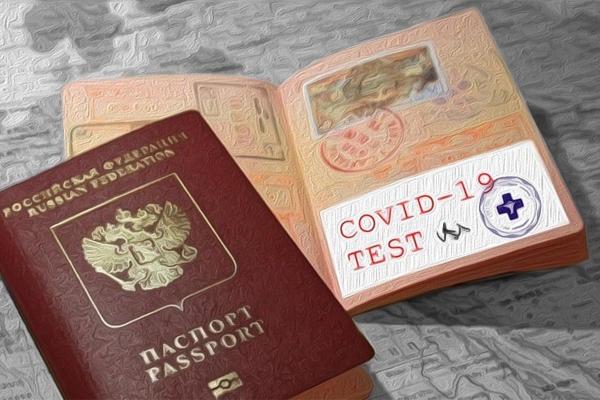 В России озвучивают идеи создания вкладышей к паспортам, в которых содержались бы данные о прививках гражданина.