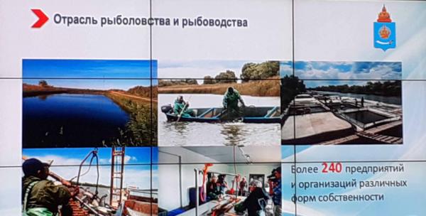 2 февраля 2021 года состоялось заседание территориального рыбохозяйственного совета Астраханской области.