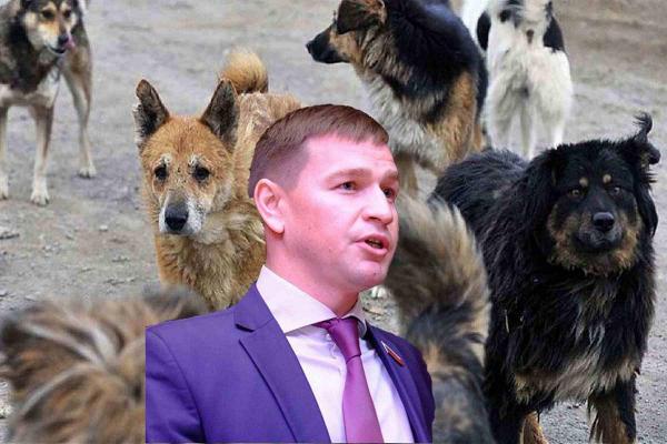Депутат Думы Астраханской области Тимофей Щербаков далек от пустого критиканства. Он предлагает свое решение.