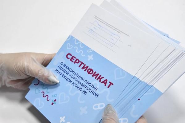 В соседнем Волгограде возбуждено первое дело о покупке сертификата о вакцинации
