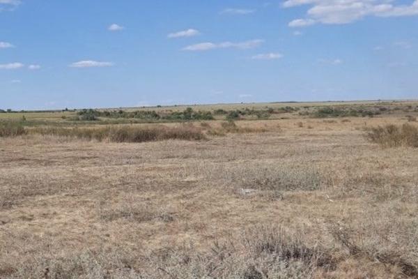 Астраханцы в соцсетях жалуются на качество выдаваемых земельных участков