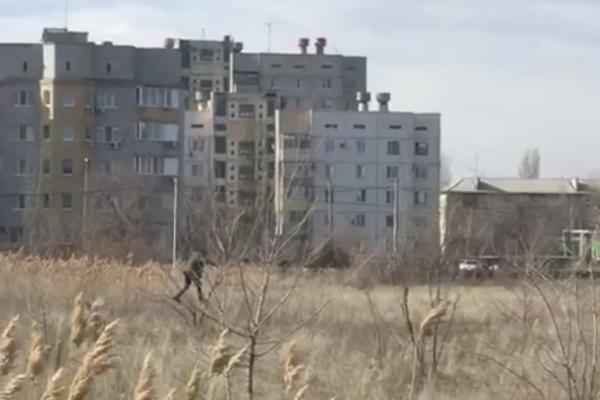 В Астраханской области стая оголодавших псов загнала подростка на дерево. 