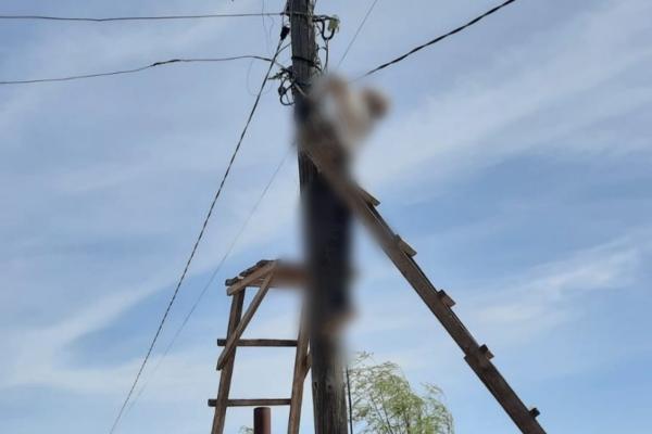 Астраханец погиб от удара током на электрическом столбе