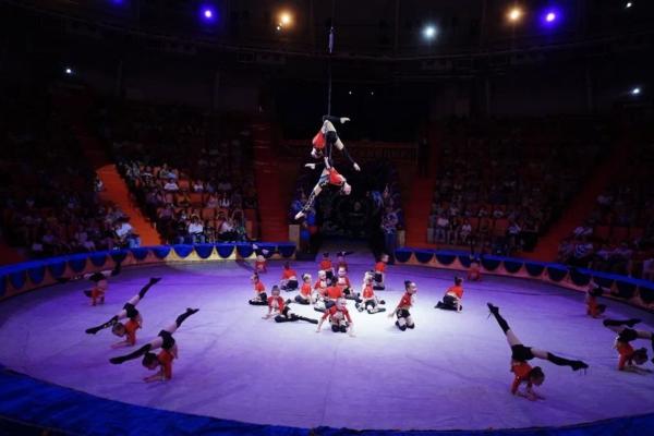 Впервые в России особенные дети выступили на цирковом фестивале