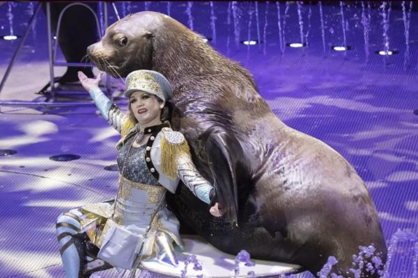 Премьера в Астраханском цирке состоится