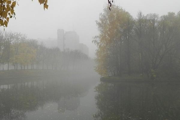 МЧС предупредило астраханцев о тумане и изморози 26 декабря