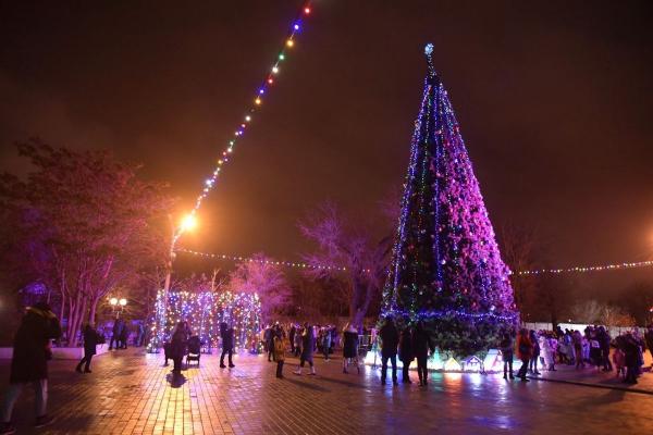 В Астрахани зажжение огней на главной ёлке состоится 22 декабря