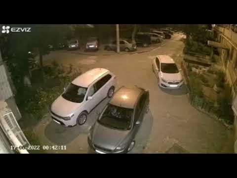 Embedded thumbnail for В Астрахани собаки разодрали кошку на улице